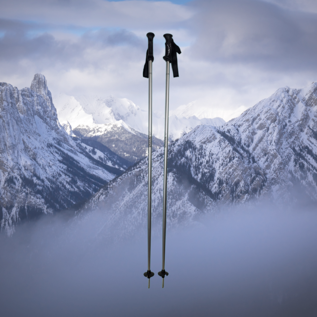 New affordable ski poles